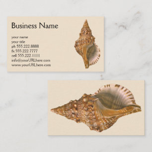 Tarjeta De Visita Caracola Tritón, Animal Marino Vintage del Océano