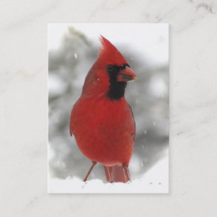 Tarjeta De Visita Cardenal ATC