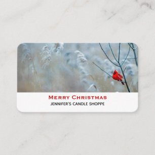 Tarjeta De Visita Cardenal rojo en Navidades de fotografía de natura
