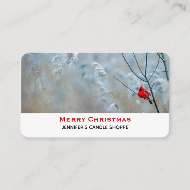 Tarjeta De Visita Cardenal rojo en Navidades de fotografía de natura (Anverso)