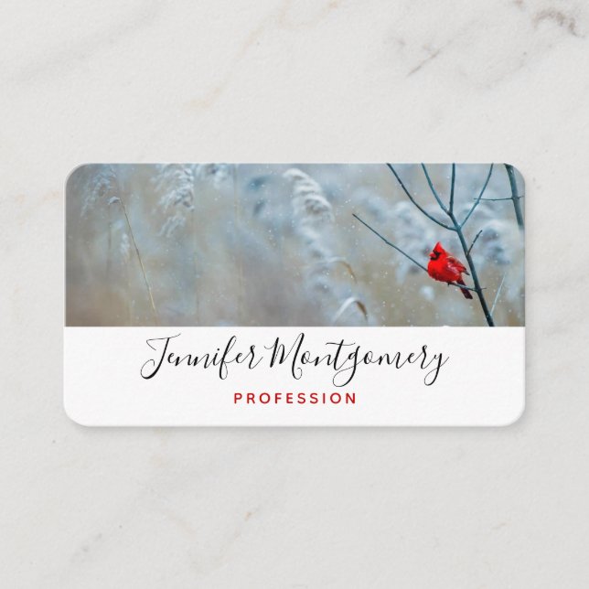 Tarjeta De Visita Cardenal rojo en Navidades de fotografía de natura (Anverso)