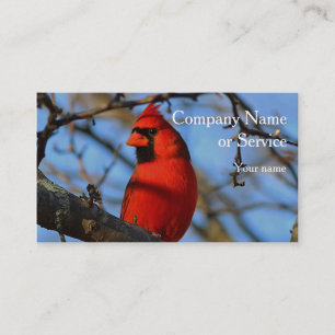 Tarjeta De Visita Cardenal septentrional