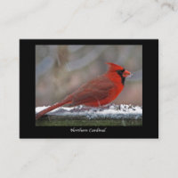 Cardenal septentrional ATC