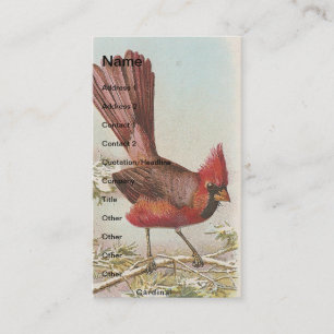 Tarjeta De Visita Cardenal vintage