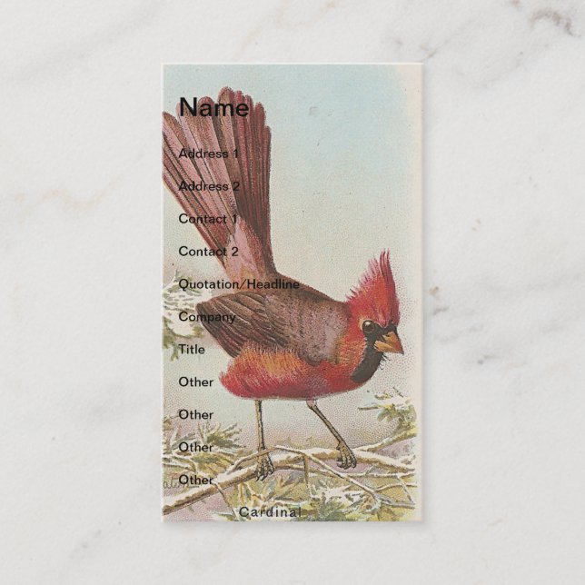 Tarjeta De Visita Cardenal vintage (Anverso)