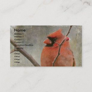 Tarjeta De Visita Cardinal Grunge