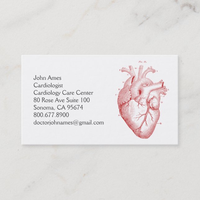Tarjeta De Visita Cardiología cardíaca anatómica Médica médico (Anverso)