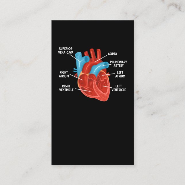 Tarjeta De Visita Cardiología de la educación de anatomía cardíaca (Anverso)