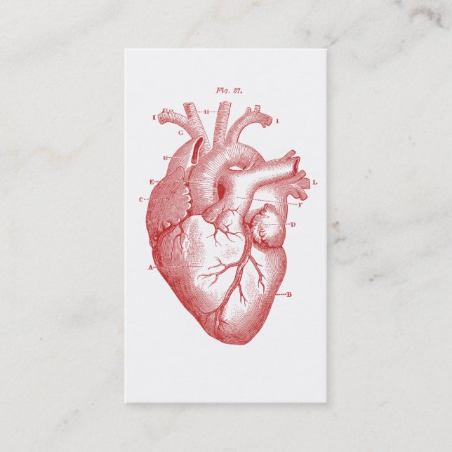 Tarjeta De Visita Cardiología médica anatómica cardíaca (Anverso)
