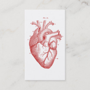 Tarjeta De Visita Cardiología médica anatómica cardiológica Cardiólo