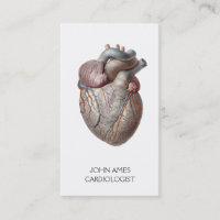 Cardiología Médica Anatómica del Corazón