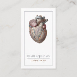 Tarjeta De Visita Cardiólogo cardíaco anatómico