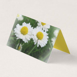Tarjeta De Visita carpa horizontal personalizada plegada blanca