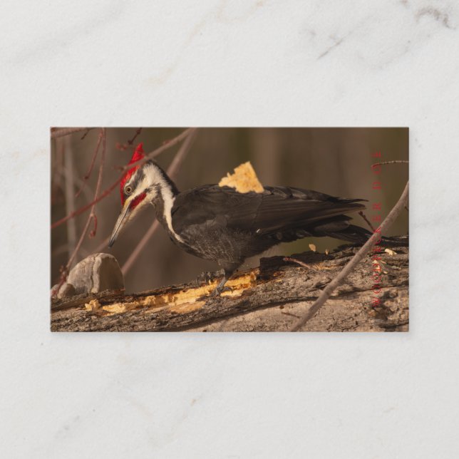 Tarjeta De Visita Carpintero, Trabajador de Madera, Fabricante de Ga (Anverso)