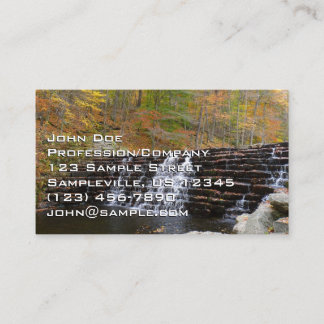 Tarjeta De Visita Cascada en el Parque Estatal Laurel Hill I