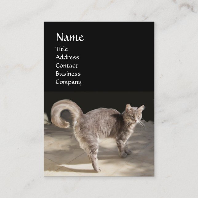 TARJETA DE VISITA CAT, TORTUGA Y BALONCESTO (Anverso)