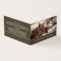 Catálogo, servicio de embarque de Mascotas