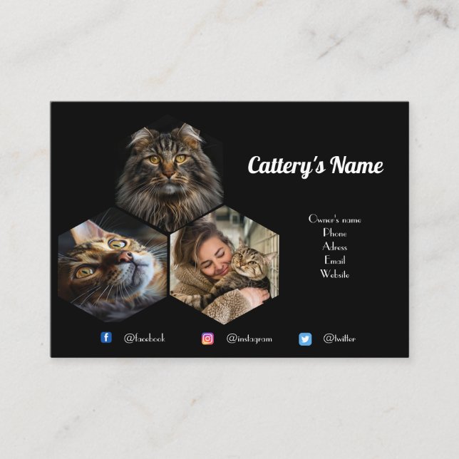 Tarjeta De Visita Catarata personalizada de Collage de fotos negro (Anverso)
