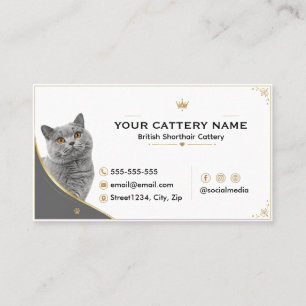 Tarjeta De Visita Cattery de British Shorthair elegante moderno