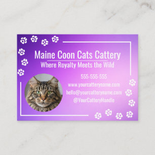 Tarjeta De Visita Cattery Moderno de Maine Coon con Gradiente Púrpur