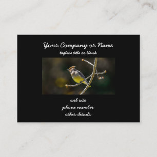 Tarjeta De Visita Cedar Waxwing Songbird Foto original de ave silves