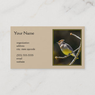 Tarjeta De Visita Cedar Waxwing Songbird Foto original de ave silves