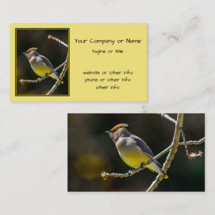 Tarjeta De Visita Cedar Waxwing Songbird Foto original de ave silves