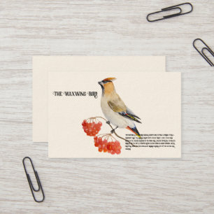 Tarjeta De Visita Cepillo de aves de la selva acuarela