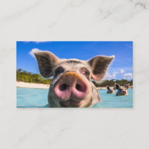Tarjeta De Visita Cerdo nadador lindo Exuma Bahamas