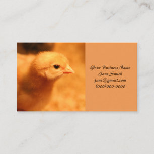 Tarjeta De Visita Chick
