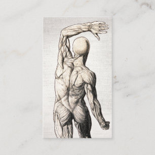 Tarjeta De Visita Chiropractica de linea venosa de hiropraxia anatom