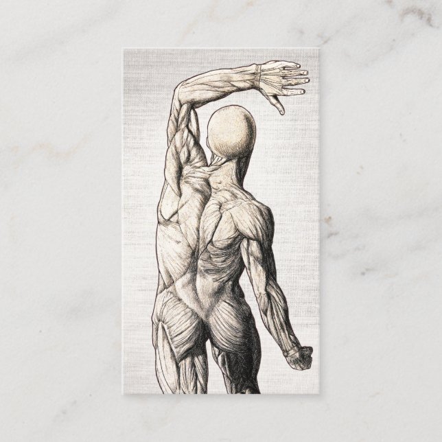 Tarjeta De Visita Chiropractica de linea venosa de hiropraxia anatom (Anverso)