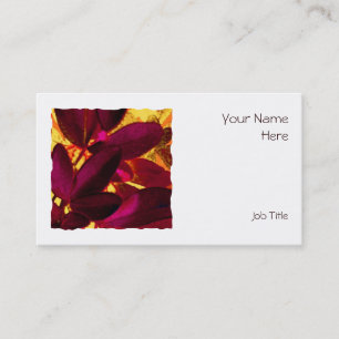 Tarjeta De Visita Choisya Autumn square business card white