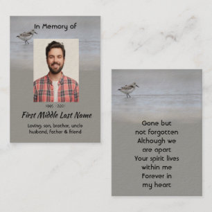 Tarjeta De Visita Chorlitejo Patillano de Playa Ave Recuerdo Memoria