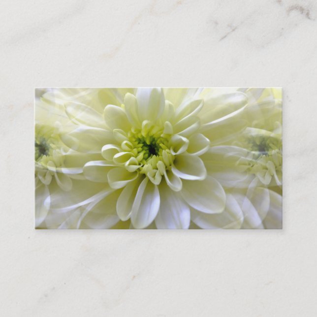 TARJETA DE VISITA CHRYSANTHEMUM (Anverso)