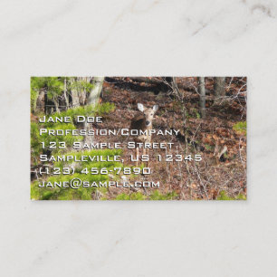Tarjeta De Visita Ciervo Adorable en la Naturaleza Fotografía de Bos
