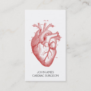 Tarjeta De Visita Cirujano cardiaco anatómico