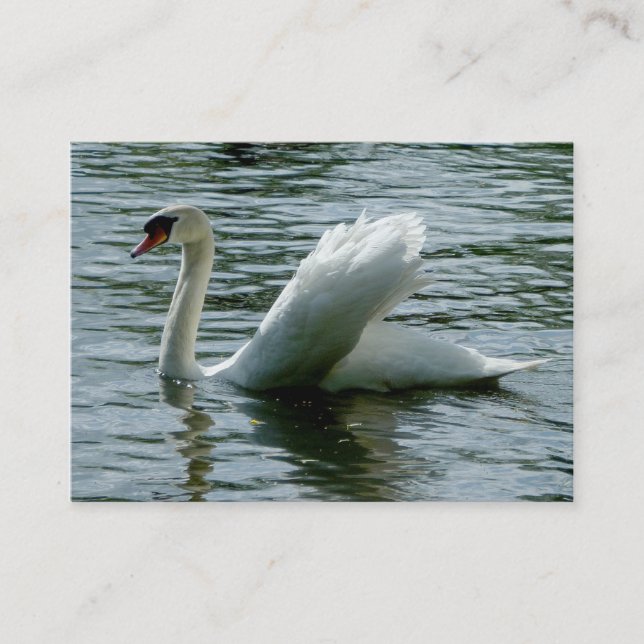 Tarjeta De Visita Cisne (Anverso)