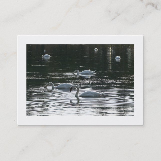 Tarjeta De Visita Cisnes (bordeados) (Anverso)