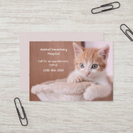 Tarjeta De Visita Cita de naranja Kitten Pet