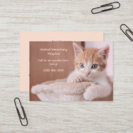 Tarjeta De Visita Cita de naranja Kitten Pet