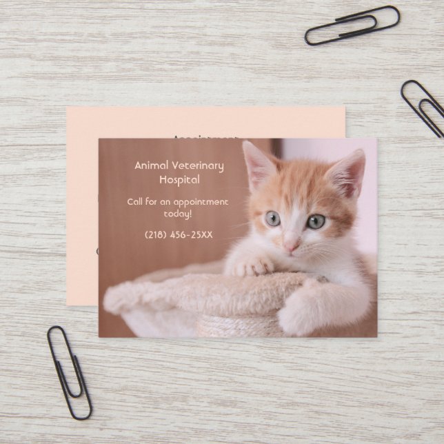 Tarjeta De Visita Cita de naranja Kitten Pet (Anverso/Reverso In Situ)