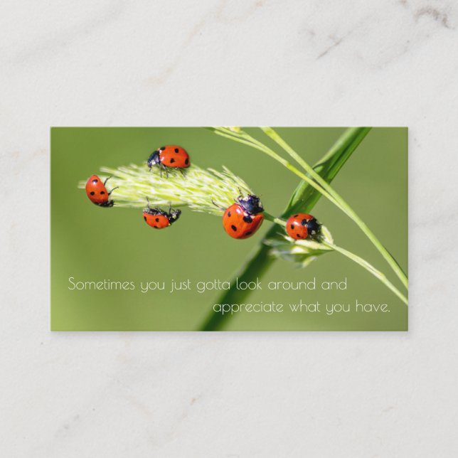 Tarjeta De Visita Cita motivacional positiva con pequeños ladybugs (Anverso)