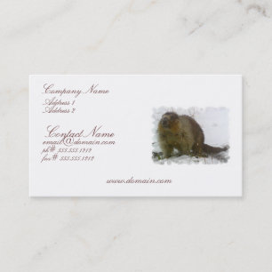 Tarjeta de visita clásica del castor