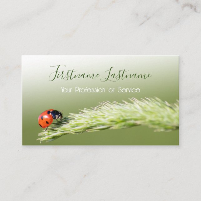 Tarjeta De Visita ¡Clientes afortunados con ladybugs afortunados! (Anverso)