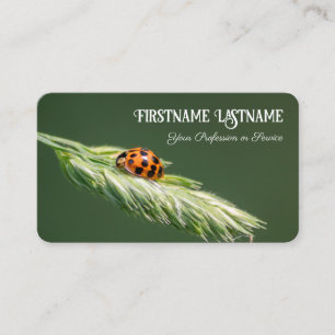 Tarjeta De Visita Clientes afortunados con vida positiva de ladybugs
