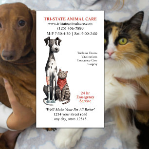 Tarjeta De Visita Clínica de Emergencia Animal