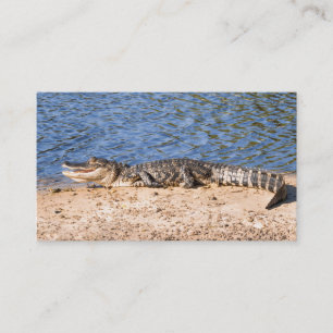 Tarjeta De Visita Cocodrilo que asolea en el lago