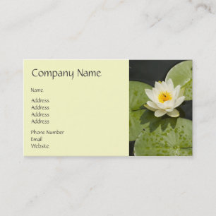 Tarjeta De Visita Cojines de lirio y flor de Lotus blanco