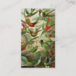 Tarjeta De Visita Colibrí del Trochilidae de Ernst Haeckel